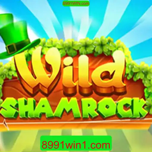 8991WIN.com Casino App